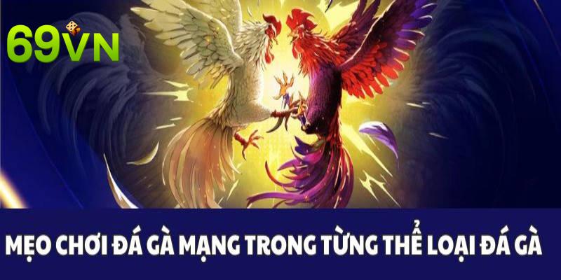 Cách chơi chọi kê mạng thông qua nhiều thể loại