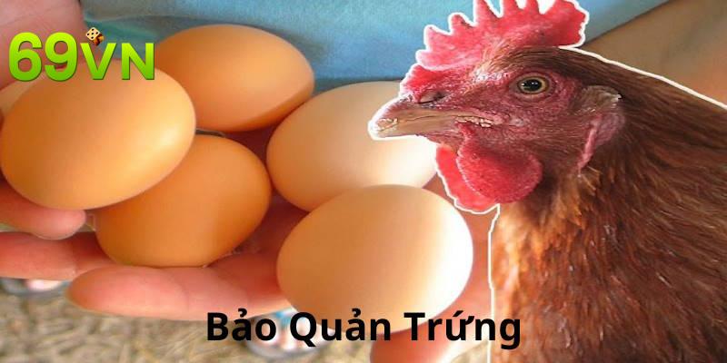 Quá trình bảo quản trứng phải diễn ra thận trọng